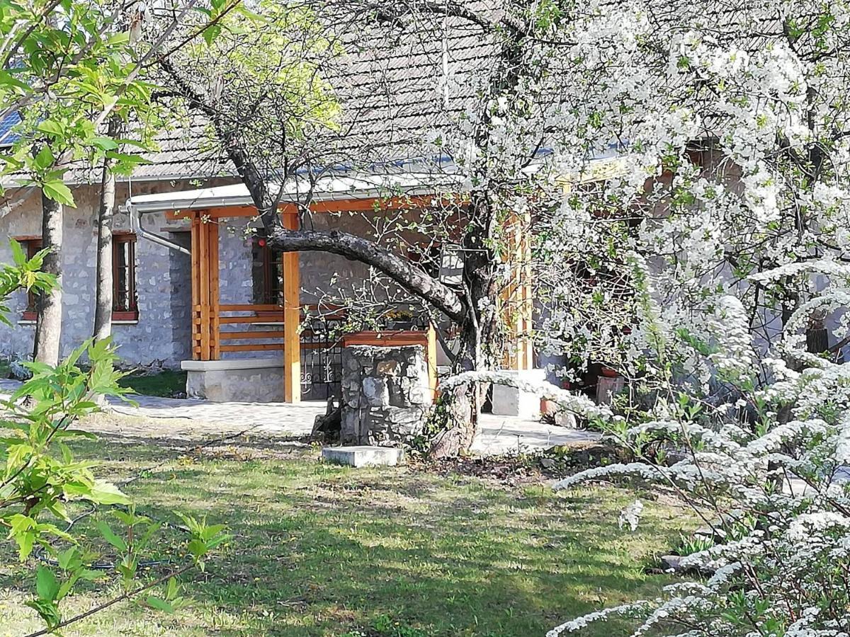 Karádi-Berger Vendégház Erdőbénye Kültér fotó