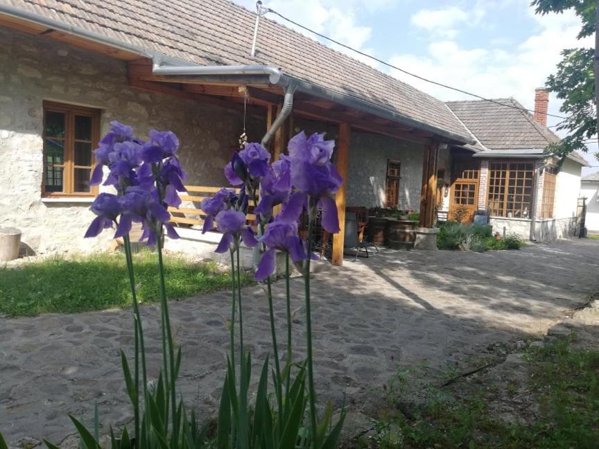 Karádi-Berger Vendégház Erdőbénye Kültér fotó